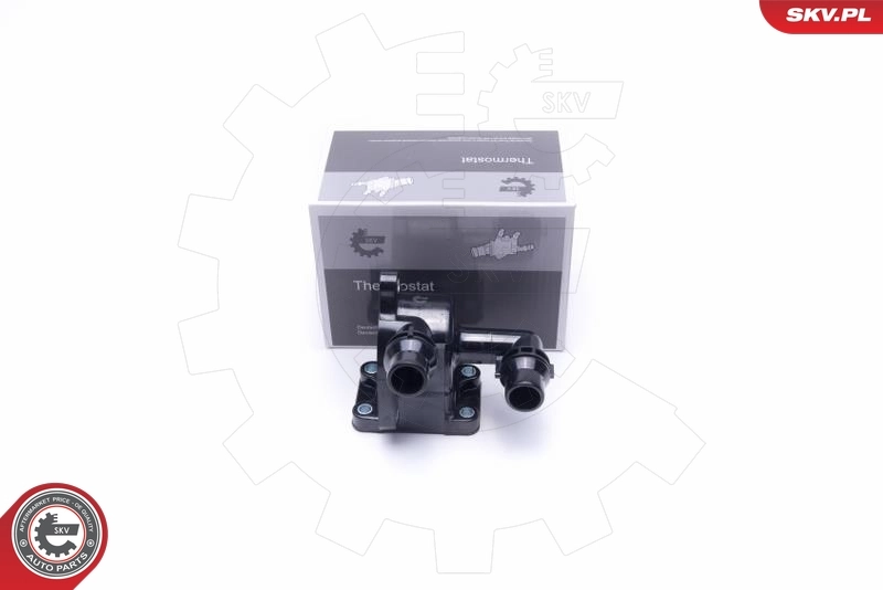 Thermostat, coolant